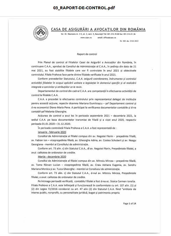 03_RAPORT-DE-CONTROL.pdf